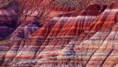 Geological strata: they’re everywhere | Sedimentary rocks, Sedimentary ...