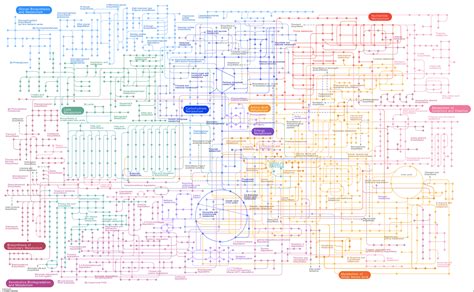 Bioenergetics And Nutrition: You Make Fat From Sugar But Not Sugar From Fat