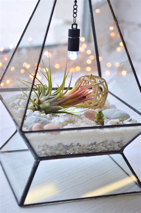 Mini LED light in this glass terrarium makes an amazing view in evening ...