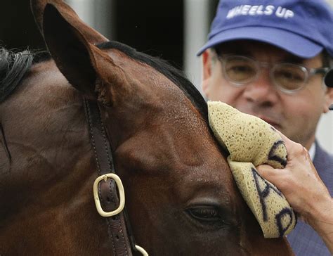 What a horse goes through physically to win the Triple Crown is crazy