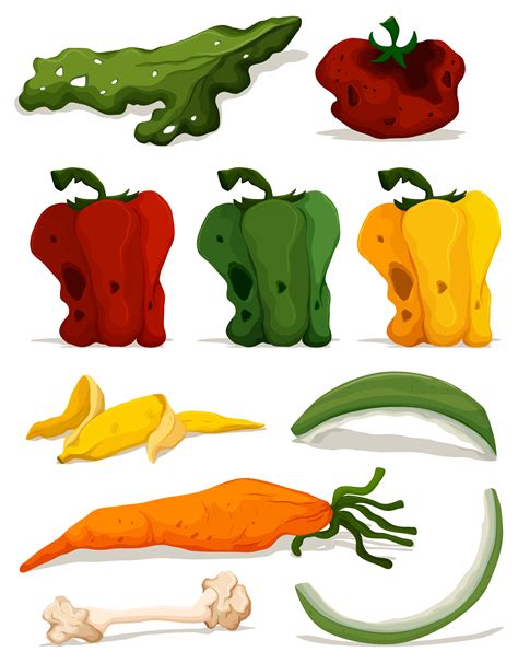 Different types of rotten vegetables 300267 Vector Art at Vecteezy