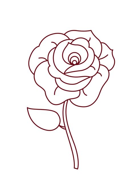 How to Draw a Rose: A Step by Step Guide