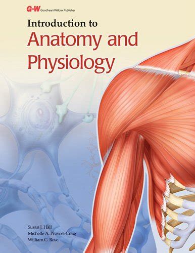 Introduction to Anatomy and Physiology - Hall, Susan J; Provost-Craig, Michelle A; Rose, William ...