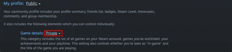 How To Hide Recent Activity On Steam [2024 Guide] - PC Strike