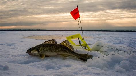 Walleye Ice Fishing Red Lake MN January 8-11, 2015 - YouTube