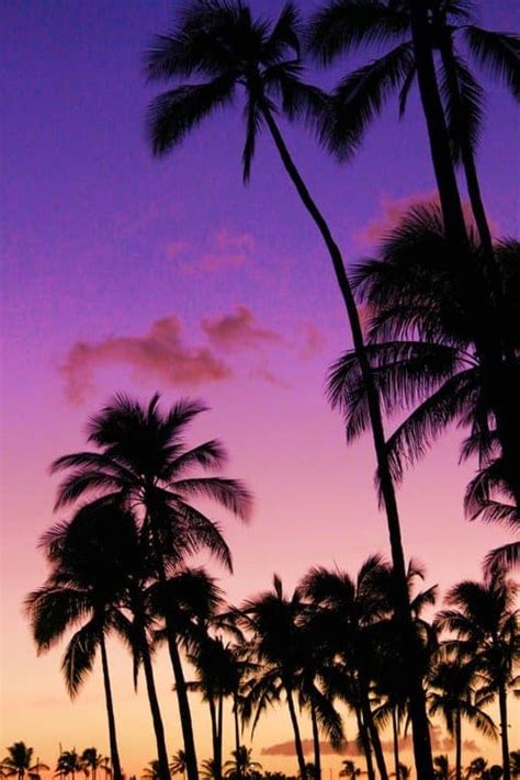 Aloha Friday Photo: Wonderful Waikiki Sunset Sky Edition - Go Visit Hawaii