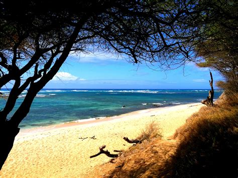 Secluded beaches in Hawaii... harder to find these days, but worth it ...