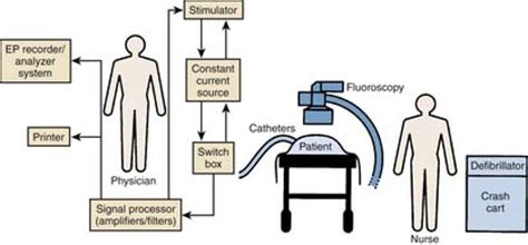 The Electrophysiology Laboratory and Electrophysiologic Procedures ...