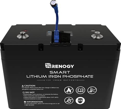 Lithium Iron Phosphate Battery Electric Vehicle Details - Ebony Lyndel