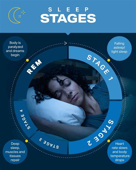 Stage 1 Sleep Cycle