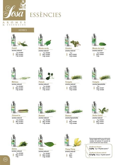 Sosa Ingredients Food Service 2017 (CAT) by Sosa Ingredients, SL - Issuu