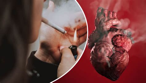 Smoking and Heart Health: Know How Tobacco Use Damages Your ...