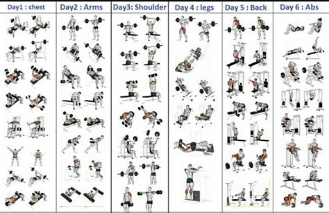 5 Day Workout Routine