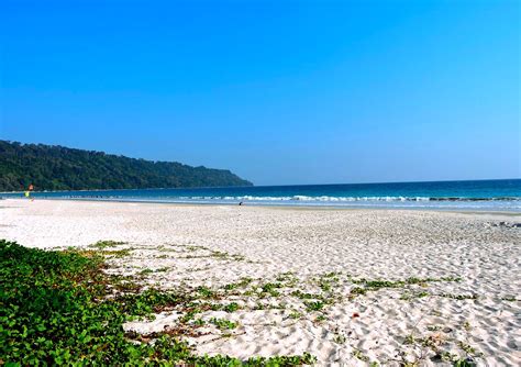 Top Beaches in Andaman: A complete guide for your vacation in 2021