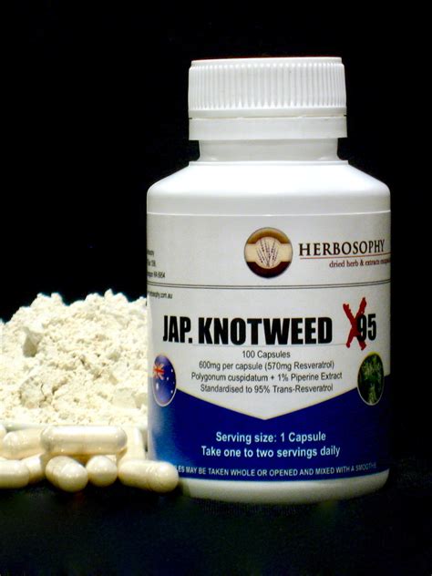 Buy Jap. Knotweed X95 (95% Trans-Resveratrol) Australia | 129.5 | 100 Caps | Herbosophy