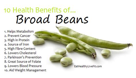 Health Benefits of Fava Beans | Nikki Kuban Minton