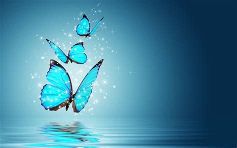 Blue Butterfly Wallpaper (75+ pictures) - WallpaperSet