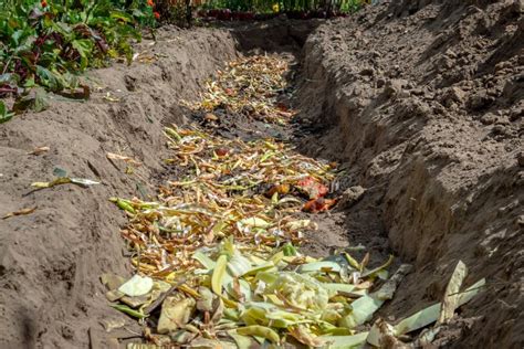 Compost Pit Preparation, Organic Waste Recycling. Pit for Garbage from Organic Products. a ...