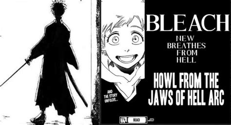 Bleach Manga Ending Explained