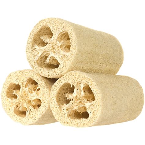 Natural Loofah (Luffa acutangula)