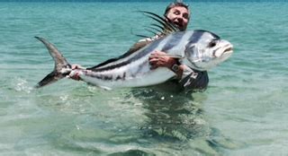 Baja Anglers: Monster Roosterfish off the beach