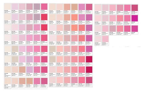 Pantone Shades Of Pink Greeting Card | ubicaciondepersonas.cdmx.gob.mx