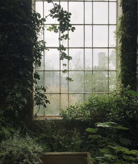 Botanical Garden, Edinburgh | Dark green aesthetic, Nature aesthetic, Dark naturalism