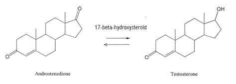 Androstenedione