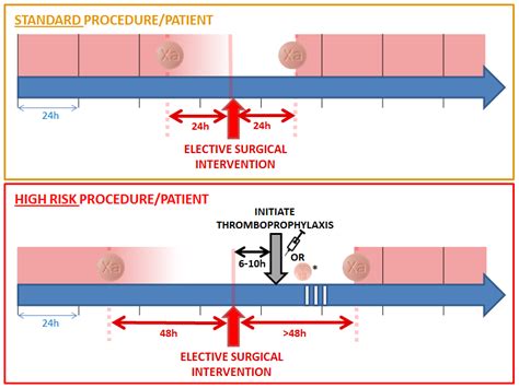 Interrupting rivaroxaban for interventions with a bleeding risk | Download Scientific Diagram