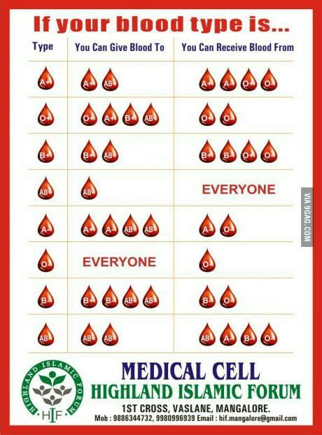 Blood type | Nursing | Nursing students, Medical facts, Hematology