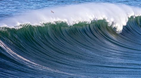 Mavericks surf waves are deadly