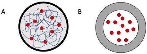 IJMS | Free Full-Text | Protein Polymer-Based Nanoparticles ...