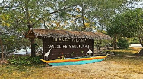 Take a Detour and Head to Olango Island Wildlife Sanctuary! - Cebu Auto ...