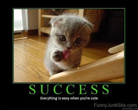 Funny Poster Pictures » Success Funny Poster