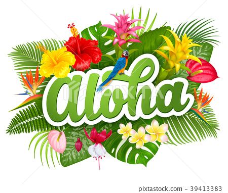 Aloha Hawaii lettering and tropical plants - 스톡일러스트 [39413383] - PIXTA