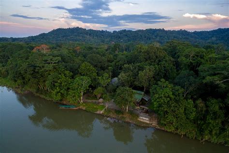 When to visit the Amazon Rainforest in Ecuador – Wanderbus Ecuador