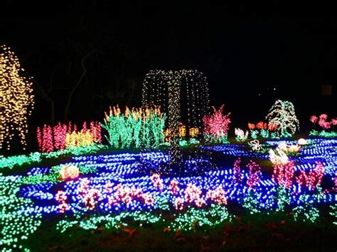 Bellevue Botanical Gardens - YoNinja - Restaurants, Hotels, and Reviews