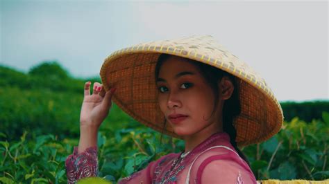 a tea garden farmer is preparing to work picking tea leaves 27124196 Stock Video at Vecteezy