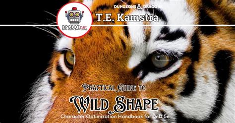 Wild Shape: A Practical Guide for DnD 5e - RPGBOT