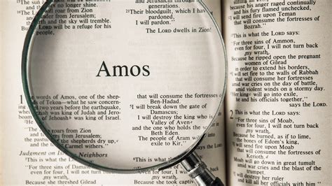 What Is the Book of Amos About? | LaptrinhX / News