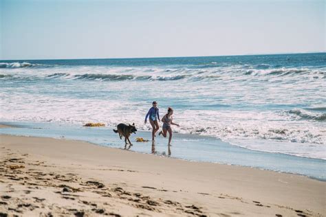 Ventura Beaches | Find The Best Beaches In Ventura