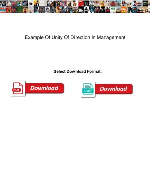 Fillable Online Example Of Unity Of Direction In Management. Example Of Unity Of Direction In ...