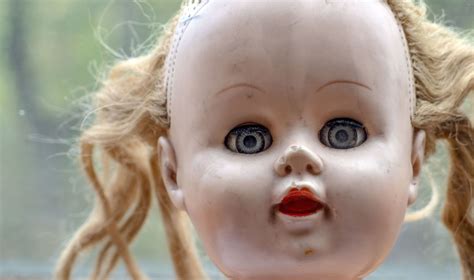 Creepy Doll | Free Stock Photo | LibreShot | Creepy dolls, Kids personal, Creepy