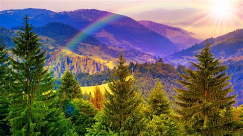 Download Fall Tree Landscape Mountain Nature Rainbow HD Wallpaper