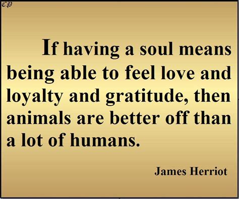 "If having a soul means being able to feel love and loyalty and gratitude, then animals are ...