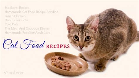 Homemade Cat Food Recipes For Diabetic Cats - Homemade Ftempo