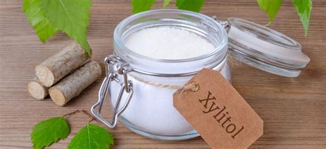 Xylitol Dental Health Benefits | Consumer Guide to Dentistry