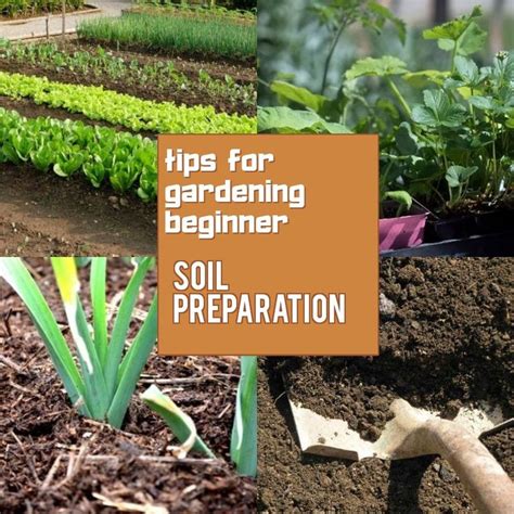 How to Prepare Soil for Gardening? - 101 Gardening Ideas | Healthy garden soil, Garden soil ...