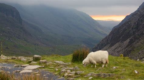 Eryri National Park in Wales | Expedia.co.uk