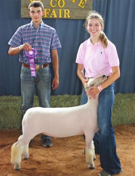 Fayette County Fair Lamb Show Results | The Fayette County Record